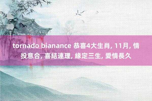 tornado bianance 恭喜4大生肖, 11月, 情投意合, 喜結連理, 緣定三生, 愛情長久